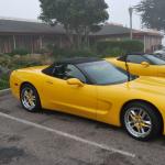 Cambria2010_050 ()